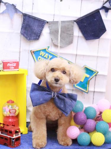 20230427モンチちゃん